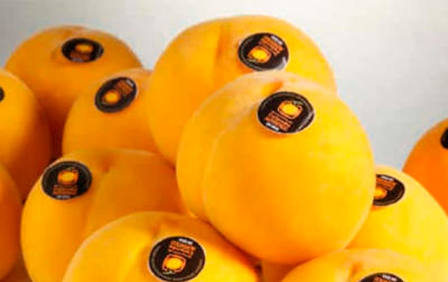 Der Pfirsich – Vitamine und Nährwerte
